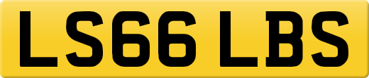 LS66LBS